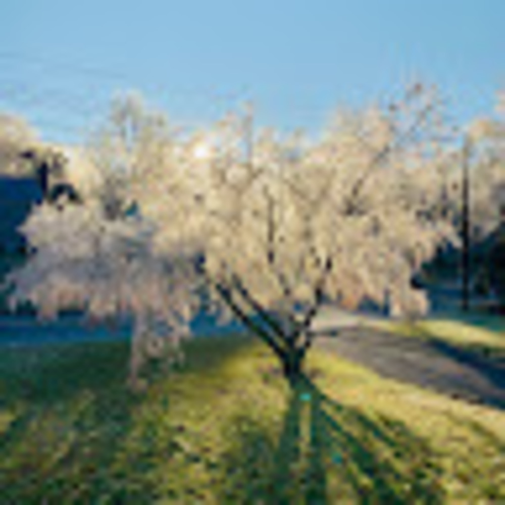 Meet your Posher, Montana